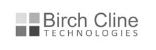 Birch Cline Technologies | The Cyber Security Review | Cyber Security: Looking Beyond the Networks and Firewalls